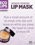 Eco Lips Daily Plumping Lip Mask with Hyaluronic Acid + Overnight Intensive Lip Mask with Gotu Kola 2-pack by Eco Lips 100% Natural. Made in USA