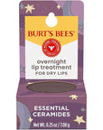 Burt's Bees Overnight Intensive Lip Treatment,