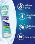 GuruNanda Hydramate Hydration Support Drink Mix - Electrolyte Powder Packets for Dehydration, Exercise & Energy - No Added Sweeteners, Non-GMO, Natural Lemon Lime Flavor - 2 Count (0.56 oz Each)