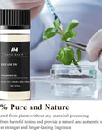 Dream On Essential Oil Scent 50mL - Inspired by Westin Hotel - Home Luxury Scent - Antal Hayat Diffuser Oil - White Tea, Cedarwood, Amber, Musk - Diffuser Oil Blends for Aromatherapy