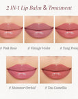 Tinted Lip Balm Plumper Set, Glossy,