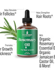 Rosemary Oil for Hair Growth for Women, Men. Strengthens & Hydrates Thinning, Dry Hair for a Healthier-Looking Scalp. For Women & Men – Vegan 1oz Serum