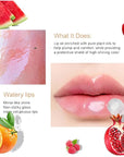 6PCS Roll On Lip Gloss Set, Fruity Flavors Moisturizing Lip Oil,Kids Lip care,Transparent Plumping Lip Gloss,Kid Friendly, Party Gift