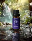Essential Oil Blends Set, ARVIDSSON Natural Essential Oils for Diffusers, Well-Being Gift Set - Sweet Dreams, Happy, Unwind and More, Aromatherapy Diffuser Oils for Home
