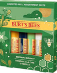 Burt's Bees Holiday Gift, 4 Lip Vanilla,