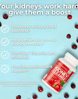 Health Plus Advanced Kidney Cleanse with Cranberry Extract, Turmeric Root and CoQ10, Helps Support Healthy Kidney Function & Urinary Tract Wellness, 60 Capsules