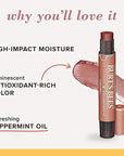 Burt's Bees Shimmer Lip Tint Set,