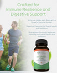 Artemisia Trinity | Cleansing for Adults with Wormwood Herb & Artemisinin 30:1 Extract | Resistance & Digestive Support | Herbal Supplements | Pure, Plant-Based, 90 Caps