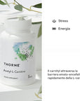 THORNE Acetyl-L-Carnitine - 500 mg - Supports Brain Function and Healthy Nerve Sensations in The Hands and Feet - Gluten-Free, Soy-Free, Dairy-Free - 60 Capsules
