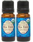 US Organic 100% Pure Tea Tree Essential Oil, Steam Distilled, USDA Certified Organic, for Hair, Skin, Scalp, Foot, Toenails, and More. Sourced from South Africa, Undiluted, Non-GMO (10 ml, 2 Pack)