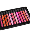 SHANY The Wanted Ones - 12 Piece Lip Gloss Set with Aloe Vera and Vitamin E