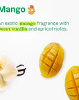 ATTITUDE Shampoo and Body Wash for Kids, EWG Verified Hair and Body Cleanser, Dermatologically Tested Soap, Plant and Mineral Based Bath Products, Vegan, Mango, 16 Fl Oz