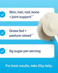 Vital Proteins Collagen Peptides Powder Supplement for Skin Hair Nail Joint Health or Support - Hydrolyzed Collagen - Unflavored, 7 Servings