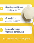Vital Proteins Collagen Peptides Powder, Collagen Supplements, Hair & Skin Health, 14 Servings, Lemon