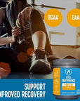 Vital Proteins Performance Powder, 25g Lactose-Free Milk Protein Isolate Casein & Whey Blend, NSF for Sport Certified, 10g Collagen Peptides, 8g EAAs, 5g BCAAs, Gluten-Free - Vanilla, 1.68lb