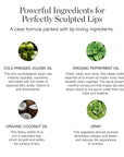 Ogee Sculpted Lip Oil - Lip Stain Made with 100% Organic Coconut Oil, Jojoba Oil, and Vitamin E - Best as Lip Balm or Overnight Lip Treatment - CLEAR
