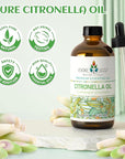 EVOKE OCCU Citronella Oil for Cleaning, Air Freshening, Add to Spray and Diffuser - 4 Fl Oz