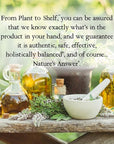 Nature's Answer Black Walnut Green Hull Extract 1oz - Alcohol-Free, Gluten-Free, Kosher - Black Walnut, Wormwood Black Walnut Clove Parasite Cleanse - Detox & Liver Support, Digestive Cleanser