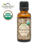 US Organic 100% Pure Frankincense Essential Oil, USDA Certified Organic, Steam Distilled, Boswellia serrata, Sourced from India, Topically or in Diffuser, Perfect for Aging Skin (30 ml)
