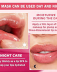 NVLEPTAP 3PCS Bee Lip Balm Honey