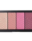 Master Blush Palette N 10