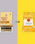 Burt's Bees Conditioning Honey Lip Scrub,