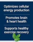 Life Extension Optimized Carnitine, Three Forms of L-carnitine, Promotes Heart & Brain Health, Gluten Free, Non-GMO, Vegetarian, 60 Capsules