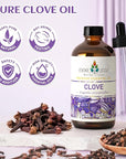 EVOKE OCCU Clove Oil for Teeth and Gums - Oral Care, Toothache Relief & Fresh Breath - DIY Mouthwash - 4 Fl Oz