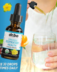 Lung Detox Respiratory Health Drops - Organic Respiratory Supplements Herbal Lung Cleanse, Mullein Drops for Lungs Bronchial Support, Mucus Clear with Mullein Leaf Extract, Elderberry Supplement 1 oz