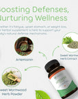 Artemisia Trinity | Cleansing for Adults with Wormwood Herb & Artemisinin 30:1 Extract | Resistance & Digestive Support | Herbal Supplements | Pure, Plant-Based, 90 Caps