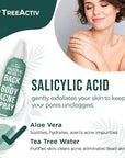 Salicylic Acid Back & Body Acne Spray, Back Acne Solution For Women And Men, Acne Body Spray with Tea Tree Oil, Fast-Drying Back Acne Spray, Fine Mist, Back Acne Treatment Spray, 4 fl oz, 2-pack