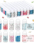72 Pcs Mini Lip Balm Bulk All