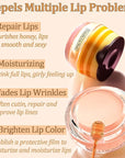 Watermelon Sleeping Lip Mask,Bee Lip Balm Care(Watermelon)