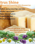 Vintage Tradition Beef Tallow All Purpose Balm – Healing, Hydrating Citrus Oil Skin Care Salve Replaces Body Lotion, Hand Cream, More – Essential Oil,a Olive Oil, and Grass-Fed Tallow, 2 fl. oz.