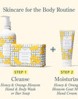 Beekman 1802 Pure Goat Milk Hand Cream, Honey & Orange Blossom - Scented - 2 oz - Moisturizing Lotion for Dry Skin - Anti-Aging Hydration - Good for Sensitive Skin - Cruelty Free - Packaging May Vary
