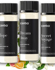 Perfume-Inspired Essential Oil Set – 3×20ml Diffuser Oils with Floral & Woody Notes | Designer Fragrance Blends for Home, Spa & Aromatherapy - Thanksgiving & Holiday Gift
