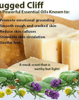 Vintage Tradition Beef Tallow All Purpose Balm - Healing, Hydrating Musk Skin Care Salve Replaces Body Lotion, Hand Cream, More - Essential Oil, Olive Oil, and Grass-Fed Tallow, 2 fl. oz.