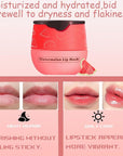1 PCS Bee Lip Balm Honey