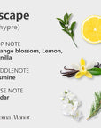Fragrance Oil - Escape Essential Oil Blend - Luxury Hotel Inspired Home Aromatherapy Diffuser Oil - Orange Blossom, Vanilla, Jasmine, Cedar - for Diffuser, Humidifier, Ultrasonic, Reed - 150ML