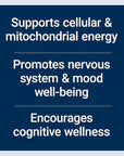 Life Extension Acetyl-L-Carnitine Arginate, Advanced Brain & Nerve Health, Cellular Energy Support, Gluten-Free, Non-GMO, 90 Capsules