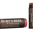 Burt's Bees Tinted Lip Balm, Hibiscus, .15 Ounce (Pack of 2)