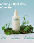 AVCA Quick Calming Cica Tea Tree Serum for Clarified and Even-Looking Skin 100ml/3.38Oz