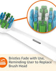 Amazon Basics Electric Toothbrush Head Replacement Brush, White, 3 Count (Fits Most Oral-B Brushes)