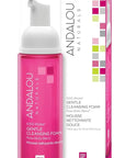 Andalou Naturals 1000 ROSES Gentle Cleansing Foam Face Wash, Hydrating Foaming Facial Cleanser with Rosewater & Aloe for Women & Men, Non Toxic, Vegan