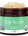 Organic Lip Scrub Mint - USA