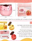 12 Pcs Bee Lip Balm Honey