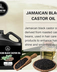 Naturevibe Botanicals Jamaican Black Castor Oil 32 Ounces | 100% Pure and Natural | Great for Skin Care and Hair Care