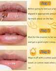 3 Pcs Bee Lip Balm Honey Exfoliator
