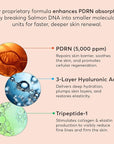 PDRN Salmon DNA Serum β Anti-Aging Face Serum with Hyaluronic Acid, Tripeptide & Vitamins (10,000ppm) β Hydrating Facial Serum for Blemishes, Collagen Boost & Fine Lines β Korean Skincare β 1 Fl Oz