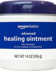 Amazon Basics Healing Ointment and Skin